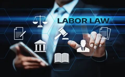 Employment Law Consultation